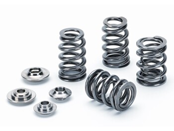 Valve Spring Kit Honda S2000 / F20 and Honda RSX-S /...
