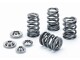 Valve Spring Kit Audi S4/RS4 (B5) 2.7 Bi-Turbo (30 Ventile - 6 Zylinder) | SPRK-AUDI2.7T-DR