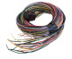 Link ECU A Loom Medium (2LA)