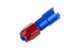-08 to 3/8" SAE quick disconnect female straight - Red / blue | RHP
