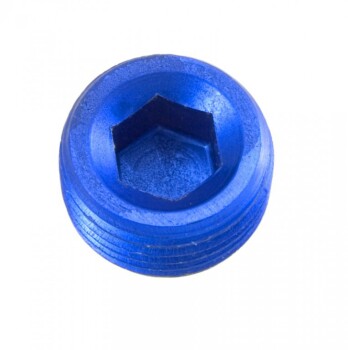 -06 (3/8") NPT hex head pipe plug - blue - 2 / pkg |...