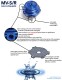 Wastegate TiAL MVS-AR - red