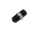 1/8" NPT male nipple | RHP